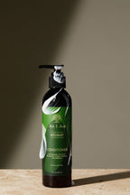 Type 2 Hair: Full Routine
